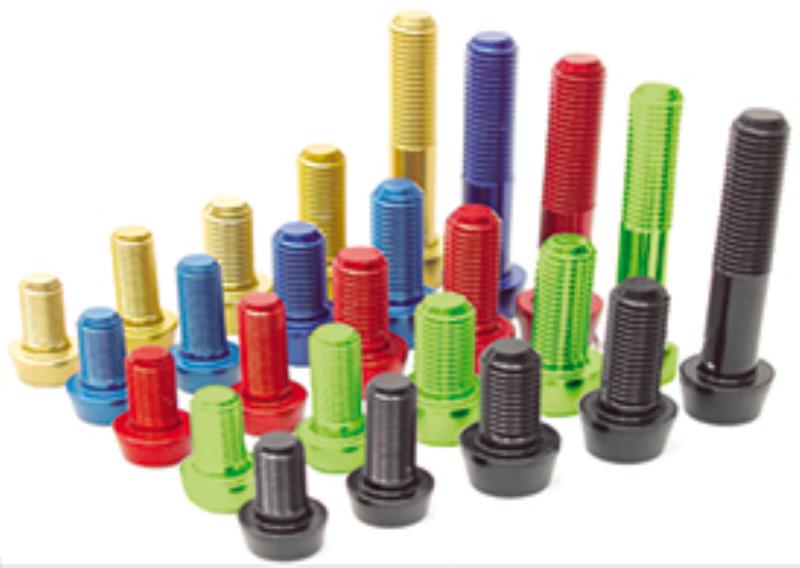 Viti Ergal Bolts 1gr. - 5x16  NERO