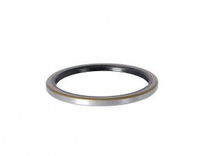 Guarnizione DT Swiss per mozzo post. - Ø30x36x2.5mm, HSOXXX00N1031S