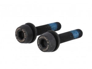 Viti Campagnolo H11 (F. a disco)