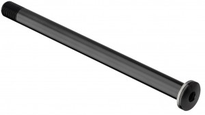 Sg.rap. ant. DT Swiss RWS plug in - PP Ø12mm/100mm Road E-Thru